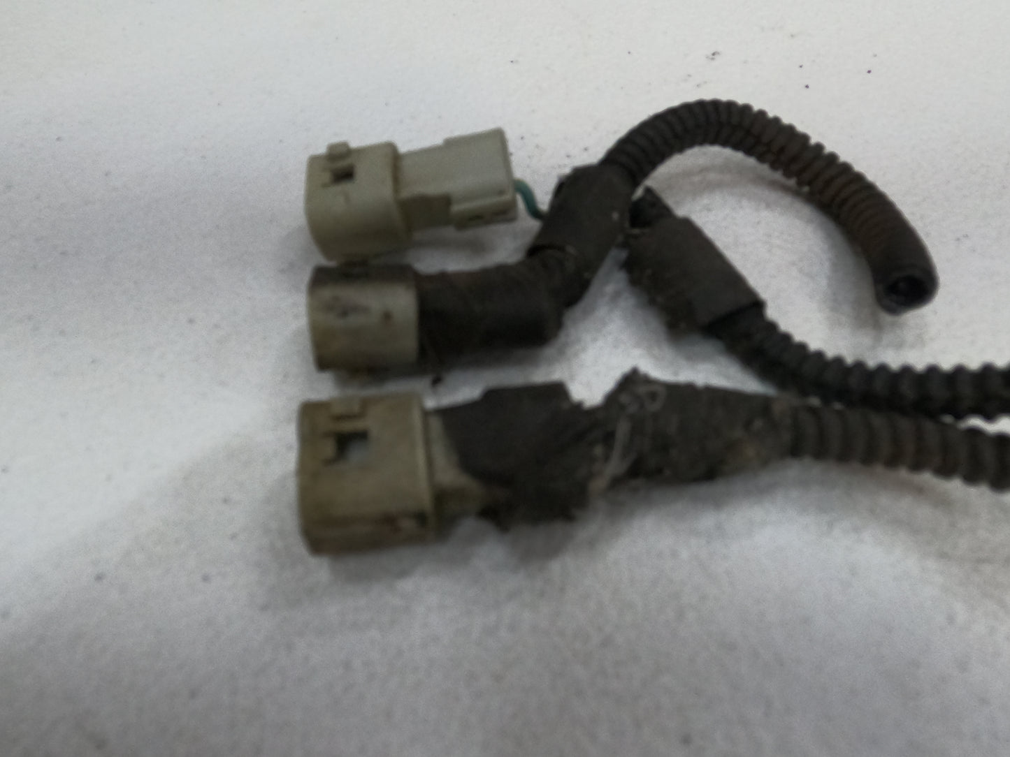 Coolant Temperature Switch/Sensor Wiring Harness Connector