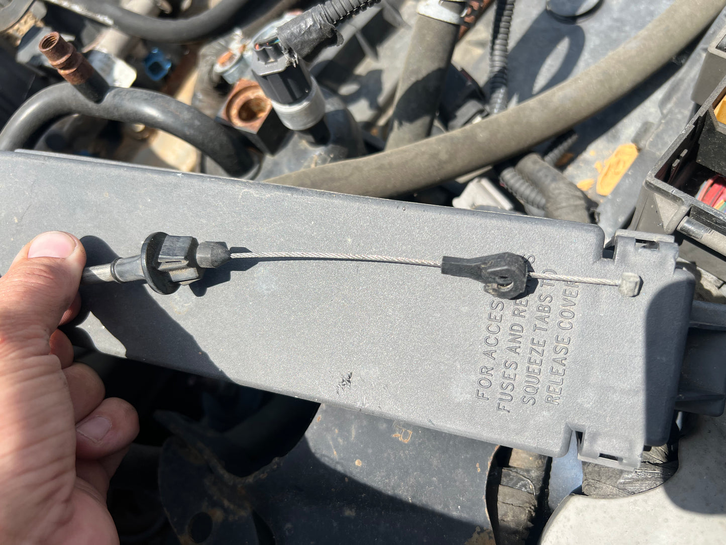 Cruise Control Actuator/Servo With Cable. 99-2004 Grand Cherokee. 4.0 & 4.7