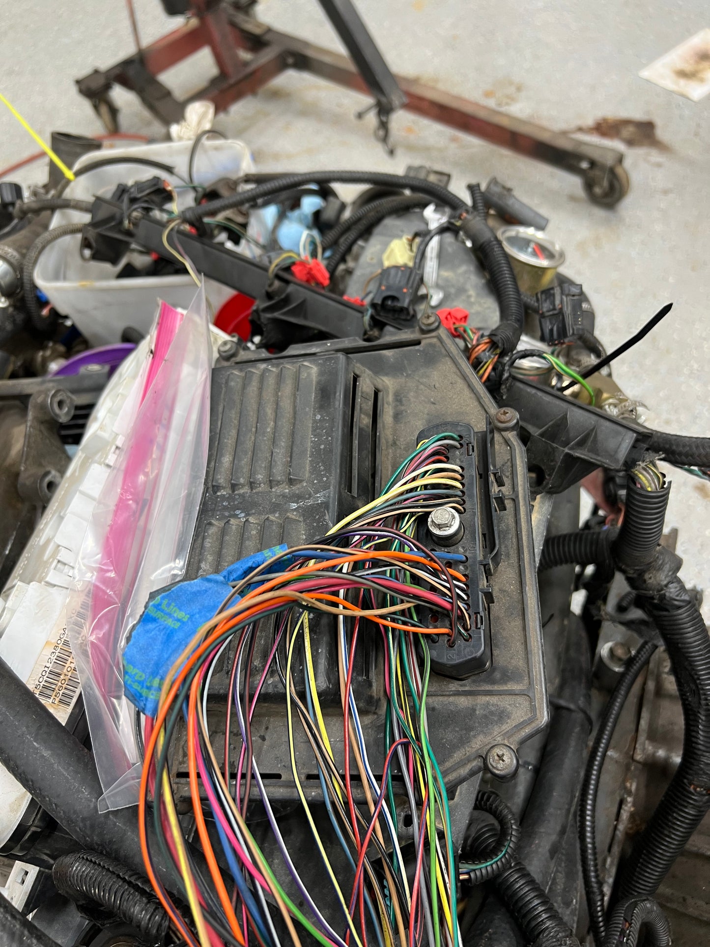 Stand Alone Wiring Harness - Cut Down  - Jeep 4.0 - 1991-1995 Or Others?