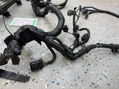 2004 - Engine Wiring Harness - Jeep Grand Cherokee WJ - 4.0L - 2004  Year ONLY