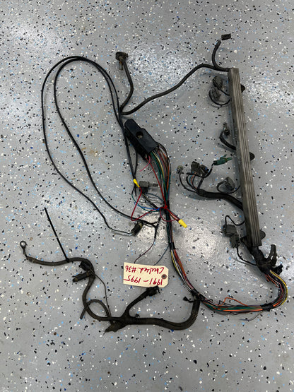 Stand Alone Wiring Harness - Cut Down  - Jeep 4.0 - 1991-1995 Or Others?