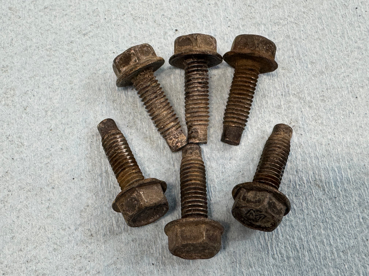 Tail Light Bolts - Jeep Cherokee XJ - 1984-2001