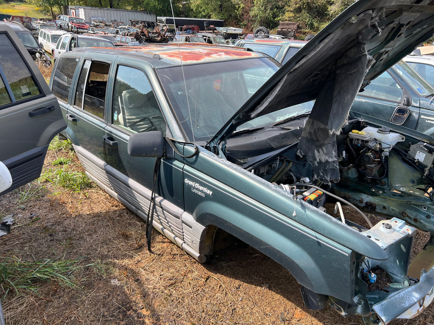Antenna Rod - Stainless Steel - All Models -  Chrome & Black