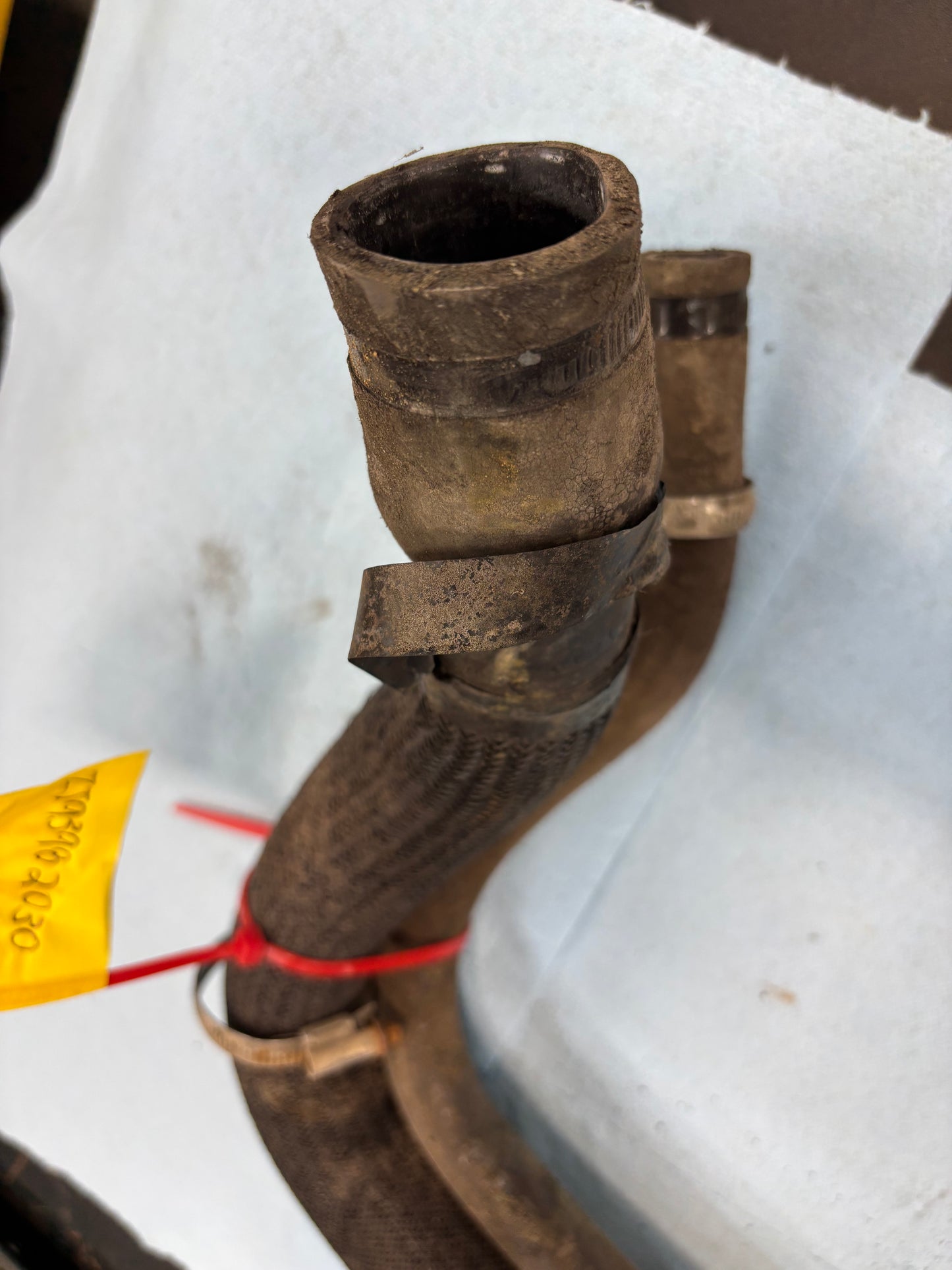 Gas Tank Filler Hoses & Filler Neck  *ALL YEARS & MODELS*