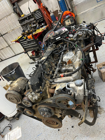 Stand Alone Wiring Harness - Cut Down  - Jeep 4.0 - 1991-1995 Or Others?