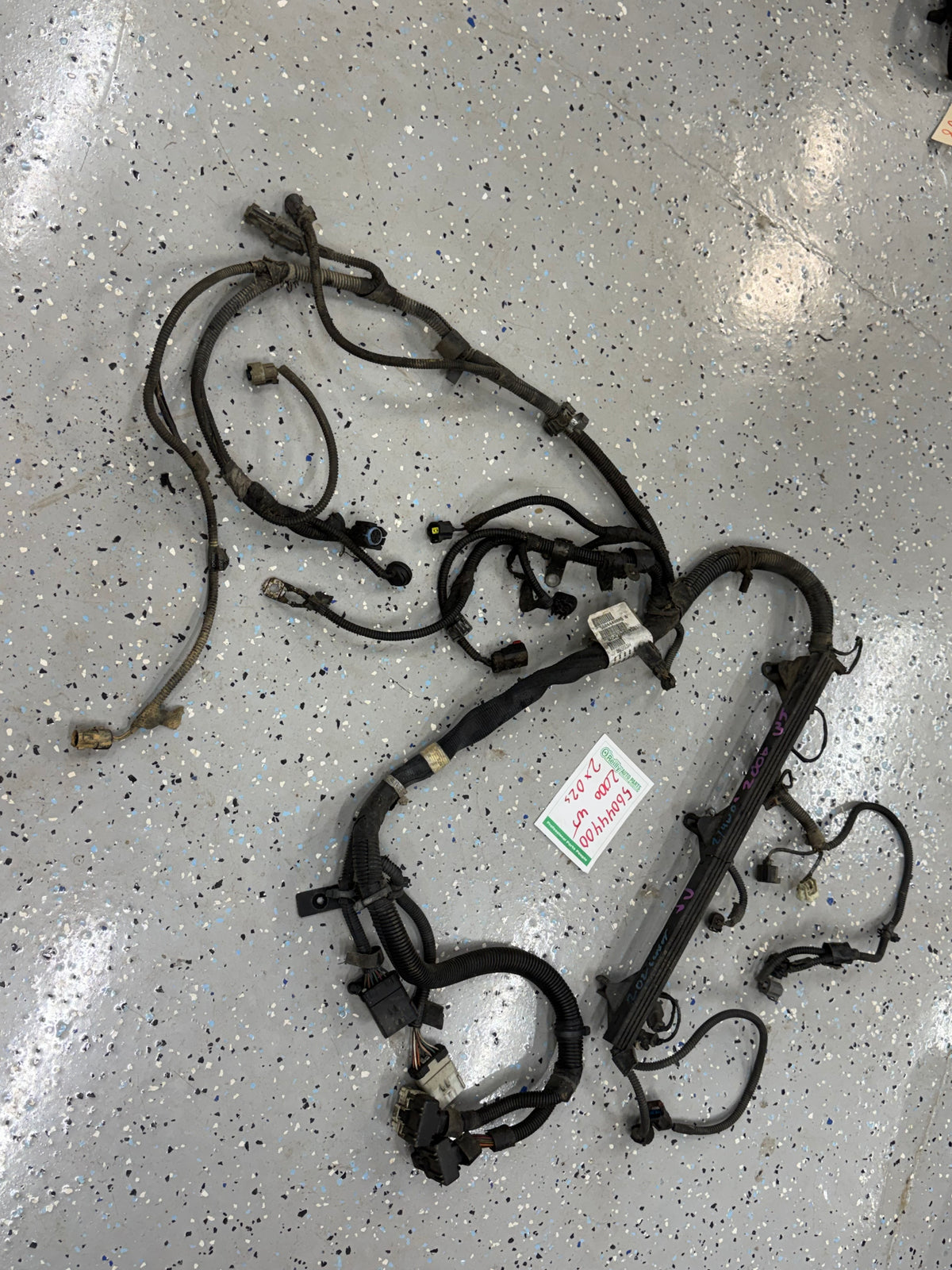 2000 - Engine Wiring Harness - Jeep Grand Cherokee WJ - 4.0L - 2000 Year ONLY