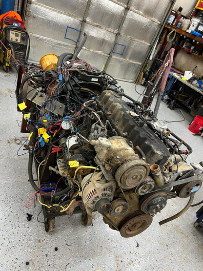 Stand Alone Wiring Harness - Cut Down  - Jeep 4.0 - 1991-1995 Or Others?