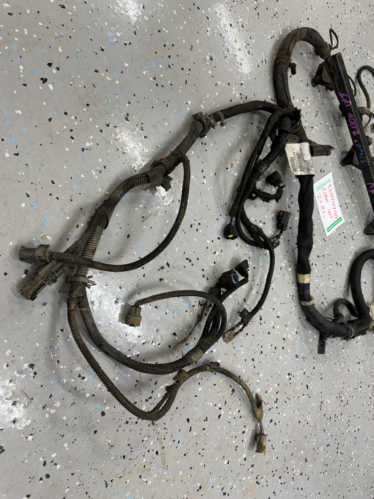 2000 - Engine Wiring Harness - Jeep Grand Cherokee WJ - 4.0L - 2000 Year ONLY