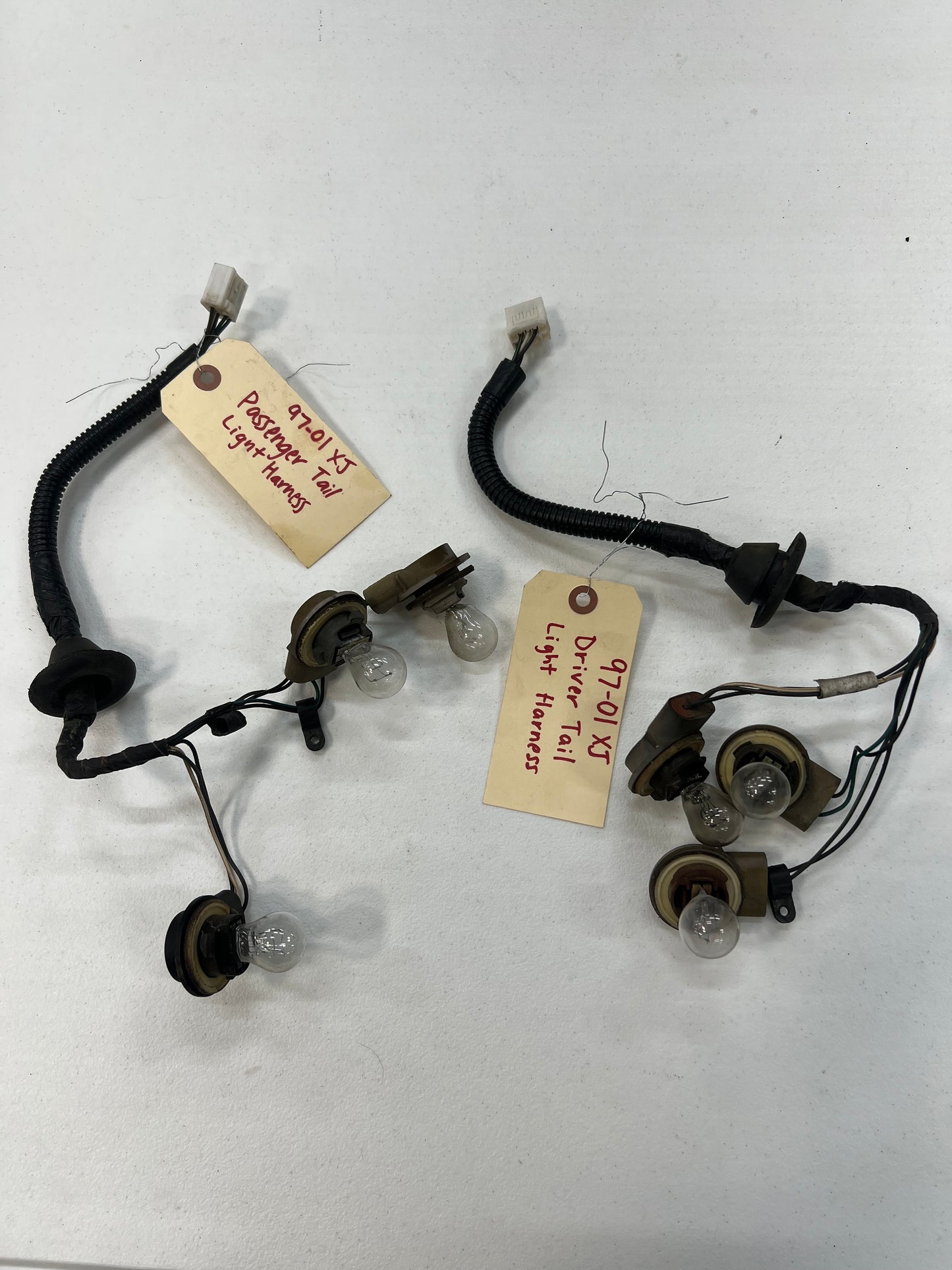 Tail Light Wiring Harness  - Jeep Cherokee XJ - 1984-2001