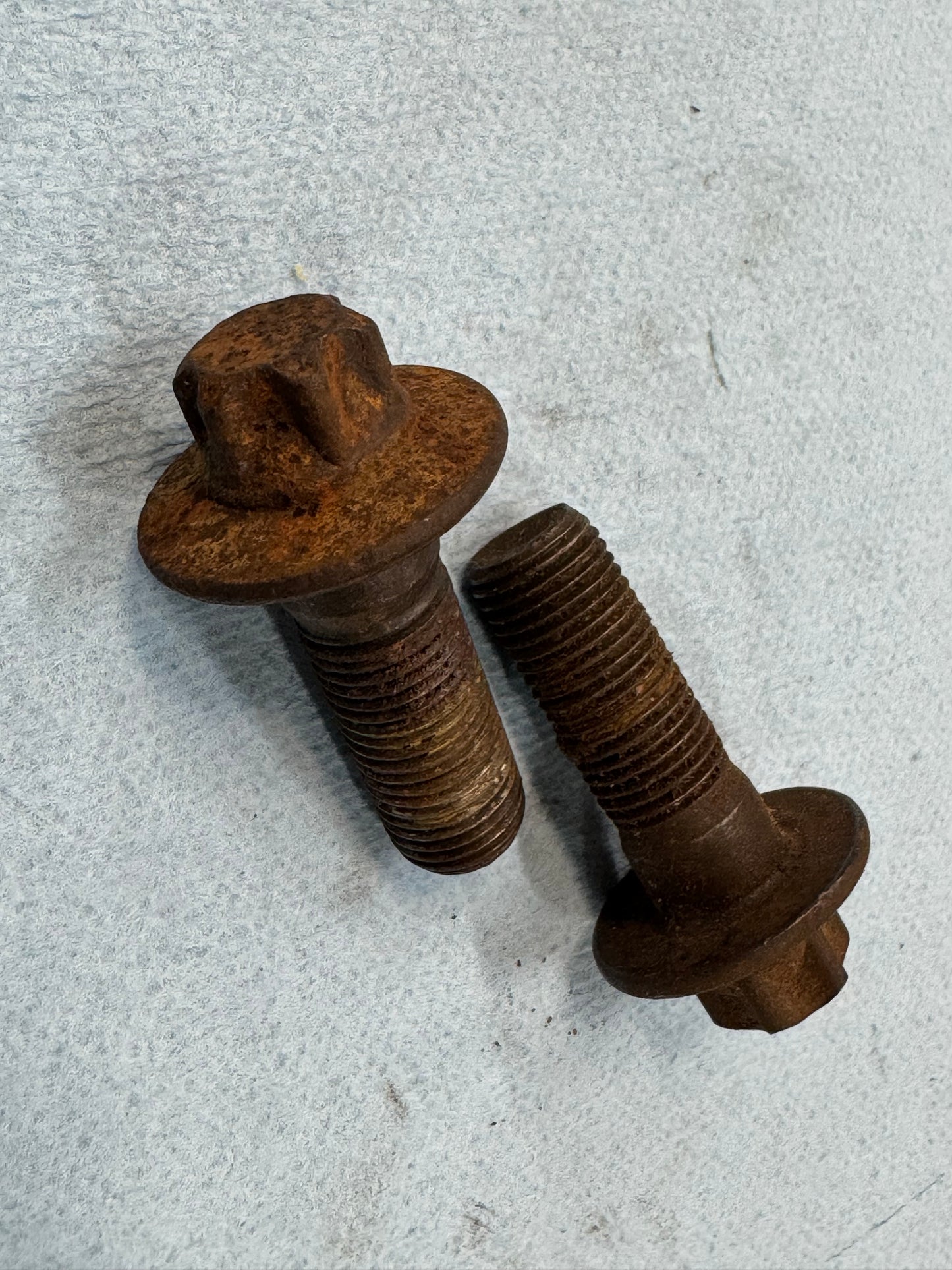 Caliper Bracket Mounting Bolts - 1984-1990 Jeep Cherokee XJ - RENIX