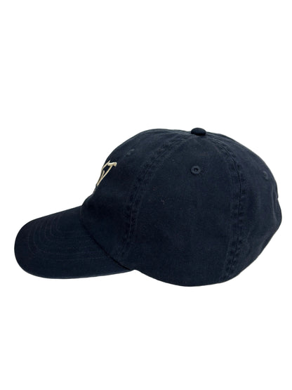 The Dad Cap
