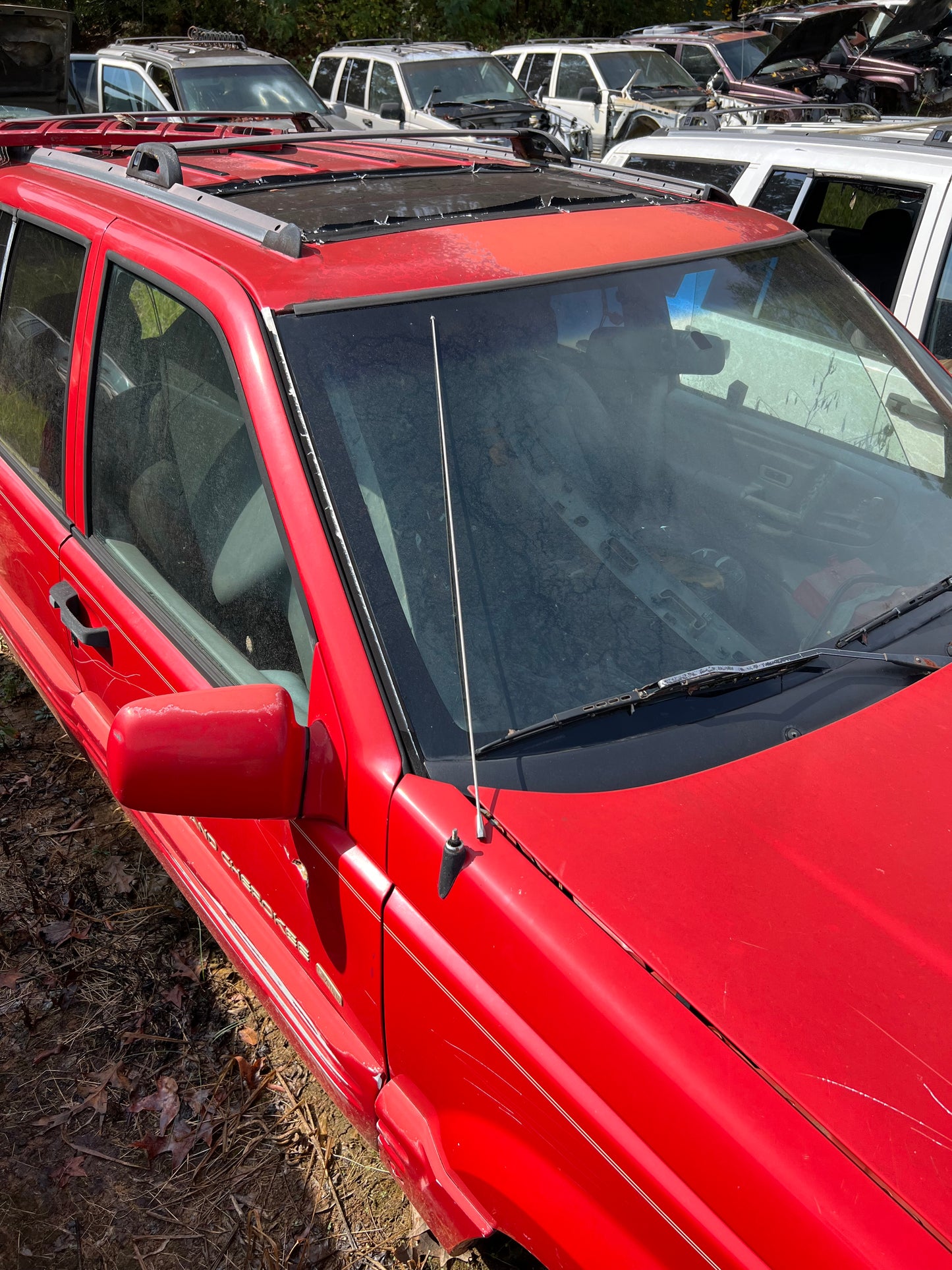 Antenna Rod - Stainless Steel - All Models -  Chrome & Black