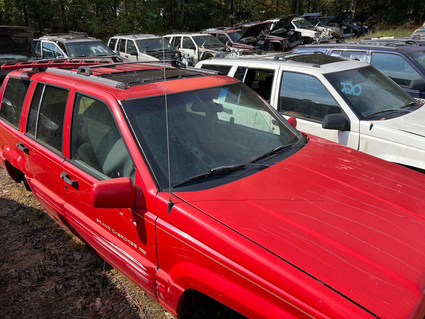 Antenna Rod - Stainless Steel - All Models -  Chrome & Black