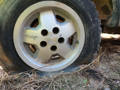 1991-1995 Jeep XJ 15 inch wheels Center Cap