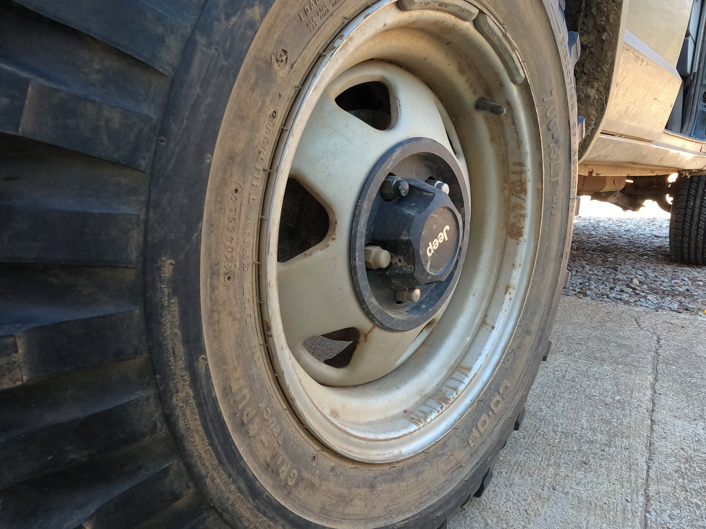 Classic XJ steel wheel center caps.