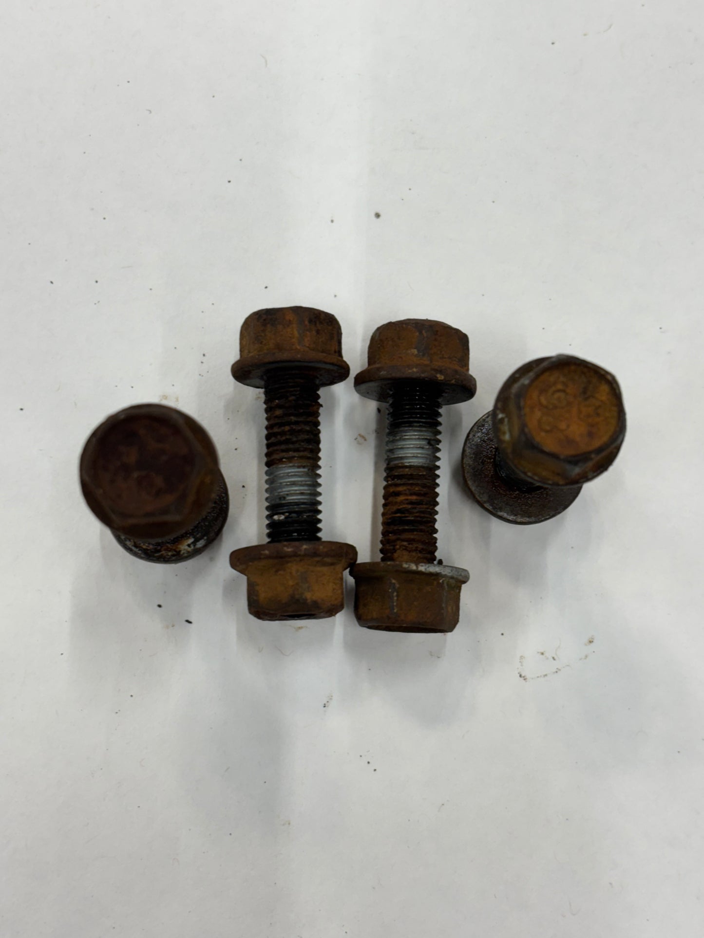 Jeep Upper & Lower Shock Nuts & Bolts   *ALL MODELS & YEARS*