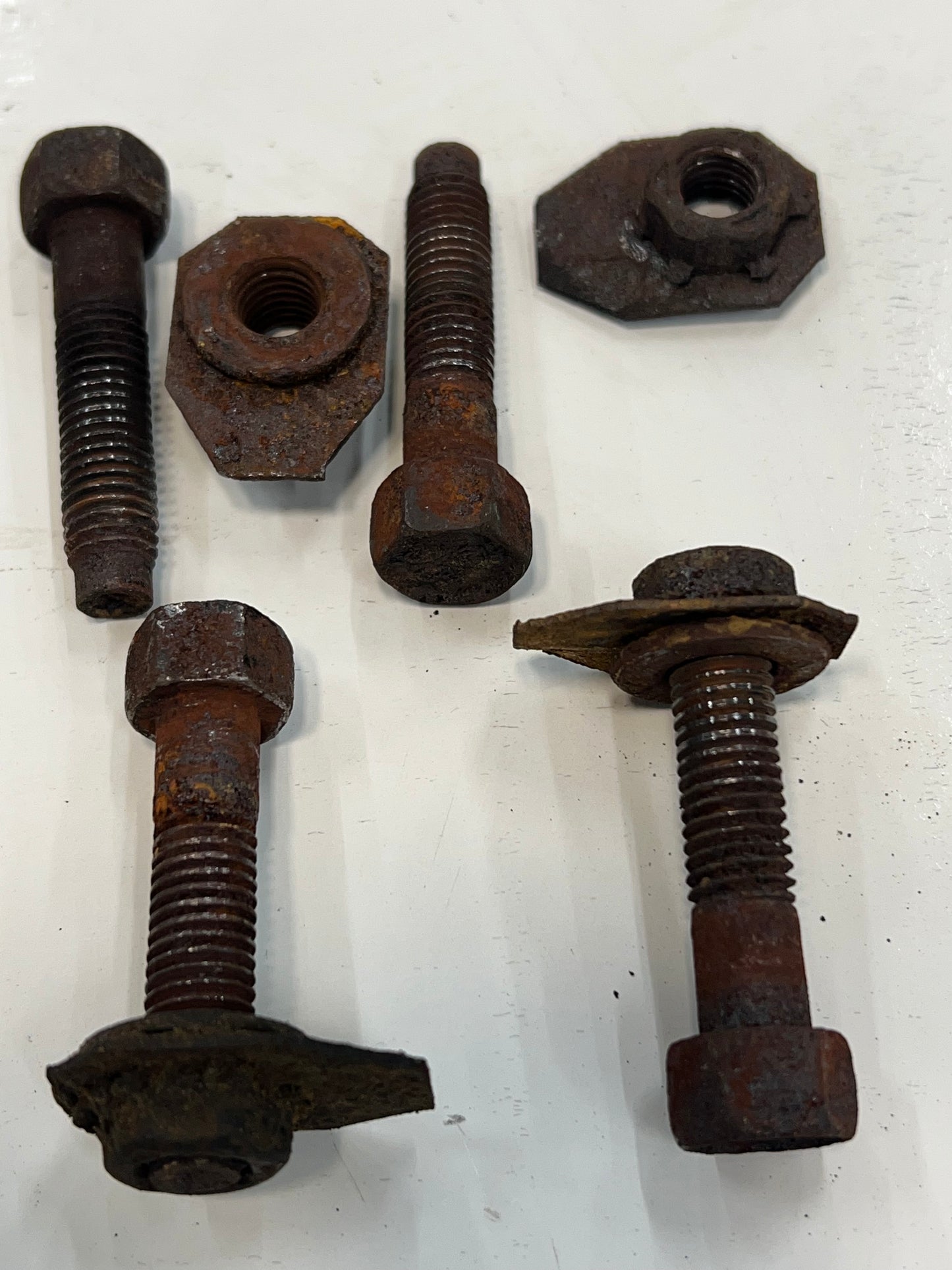Exhaust Bolts - Nuts - Nut Tabs  - All Models-