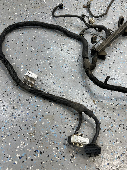 Engine Wiring Harness - Jeep Cherokee XJ - 4.0L - 1998 ONLY -